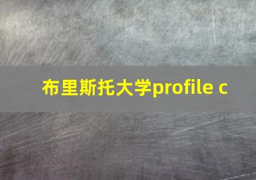 布里斯托大学profile c